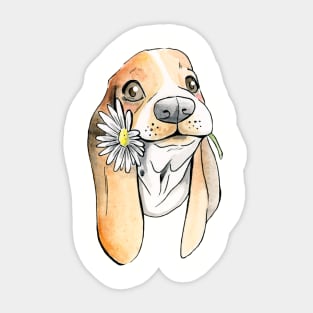 Basset Hound With Flower Sticker